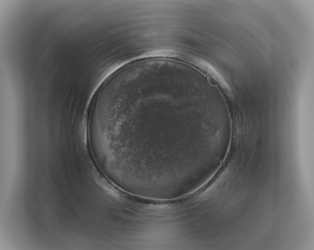 X0000111881276200907301129