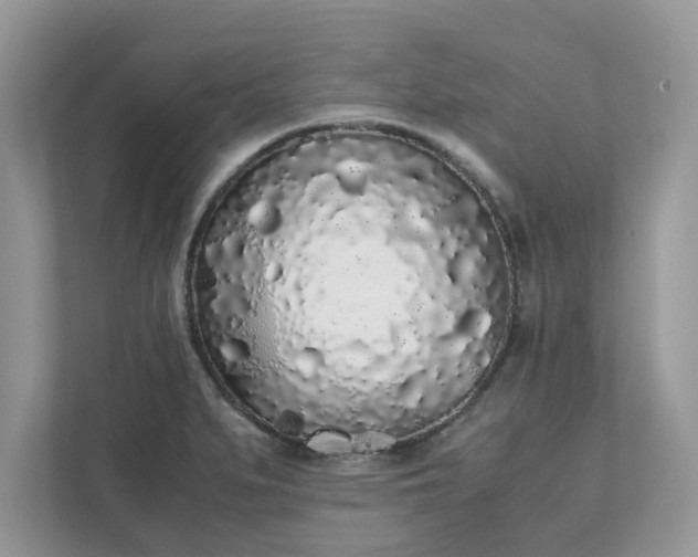 X0000111881279200907301129