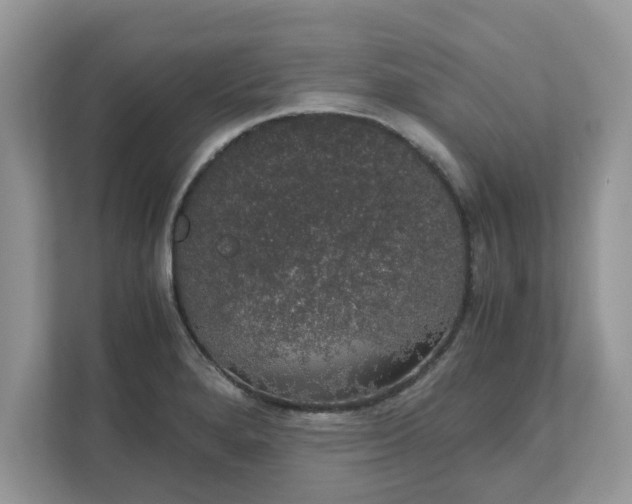 X0000111881280200907301129