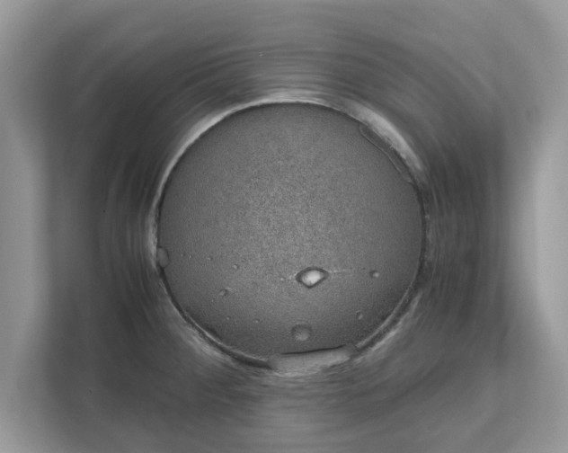 X0000111881284200907301129