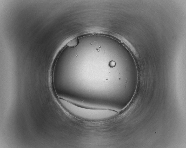 X0000111881285200907301129