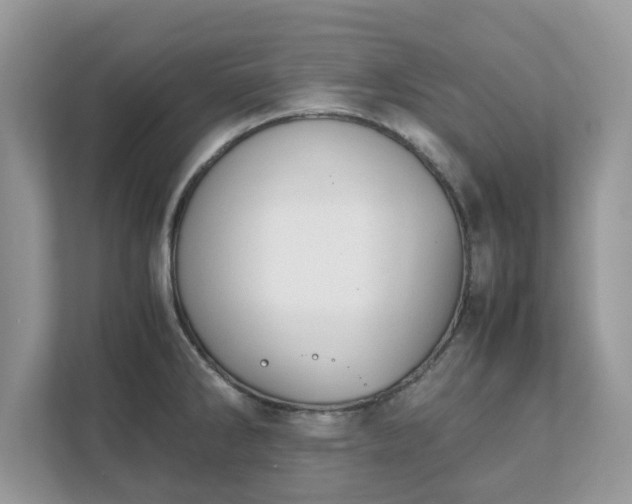 X0000111881286200907301129