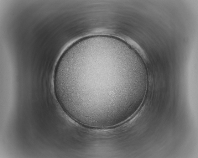 X0000111881288200907301129