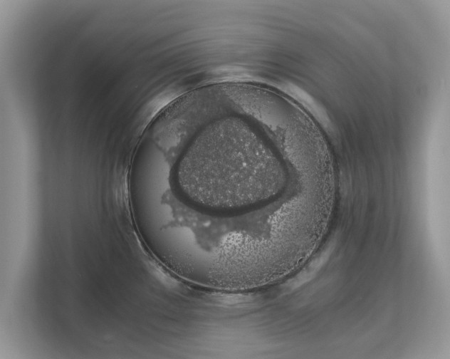 X0000111881289200907301129