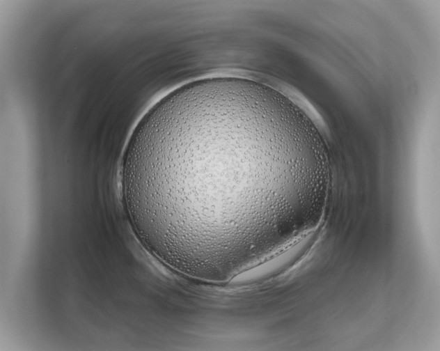 X0000111881292200907301129