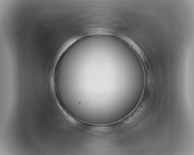 X0000111881293200907301129