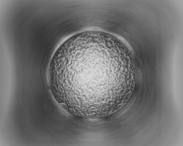 X0000111881295200907301129