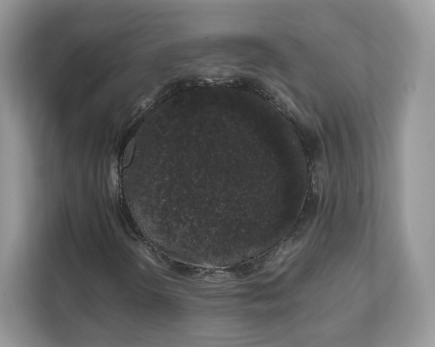 X0000111881298200907301129