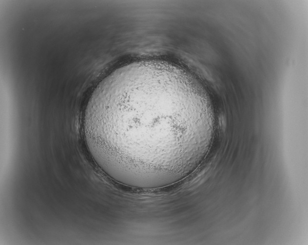 X0000111881300200907301129