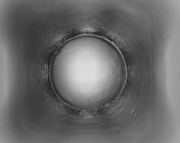 X0000111881301200907301129