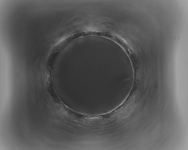 X0000111881303200907301129