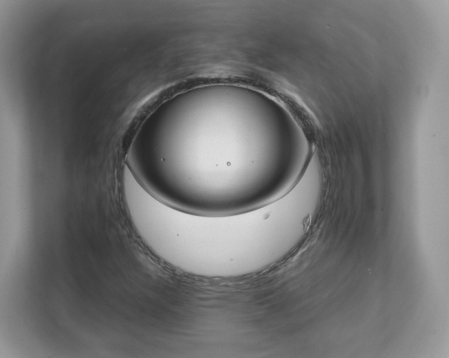 X0000111881304200907301129