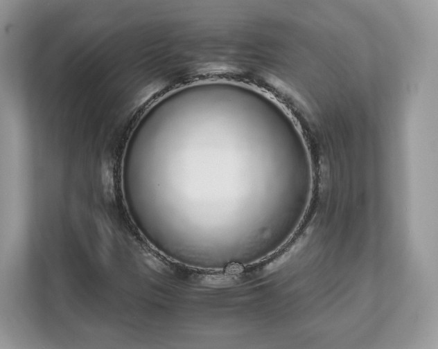 X0000111881305200907301129