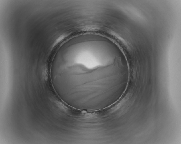 X0000111881306200907301129
