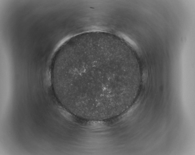 X0000111881310200907301129