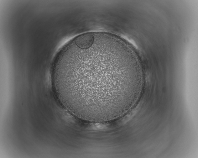 X0000111881311200907301129