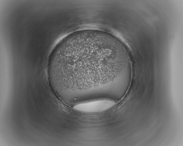 X0000111881312200907301129