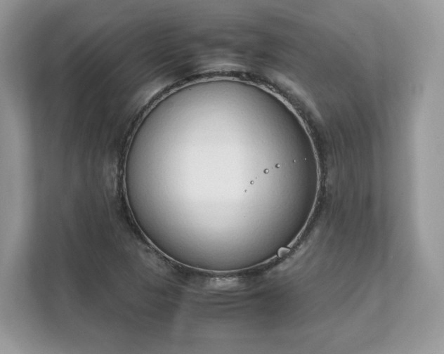 X0000111881313200907301129