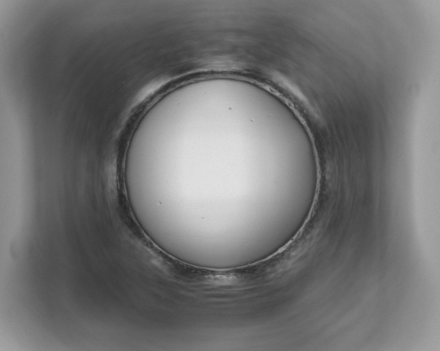 X0000111881315200907301129