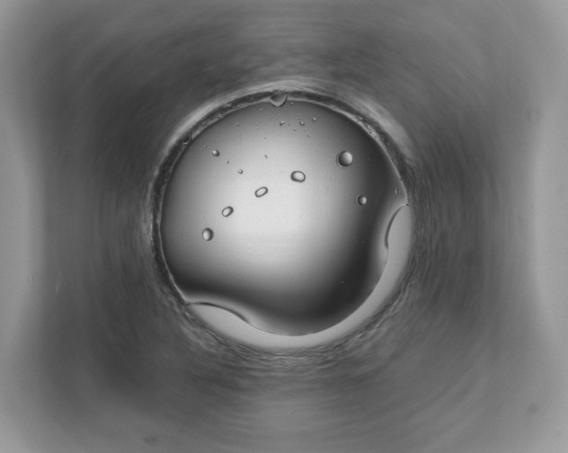 X0000111881316200907301129