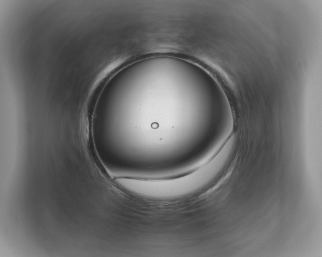 X0000111881317200907301129