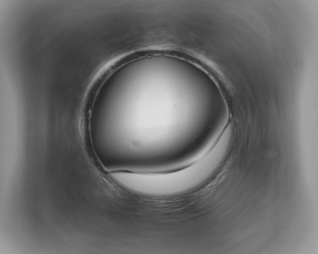 X0000111881319200907301129