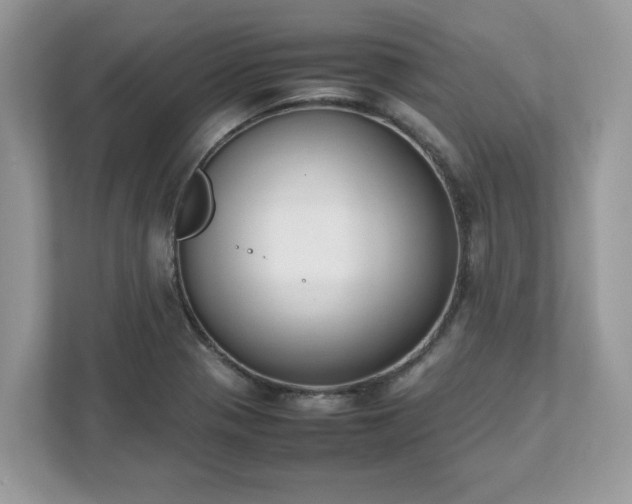 X0000111881321200907301129