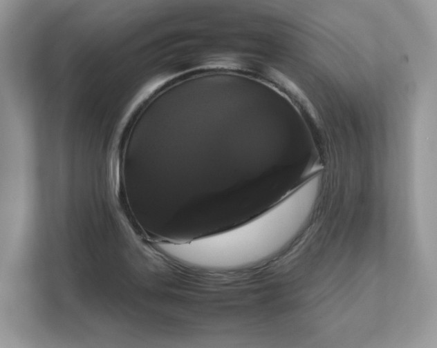 X0000111881323200907301129