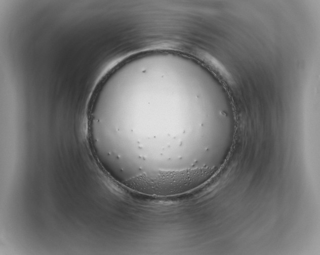 X0000111881324200907301129