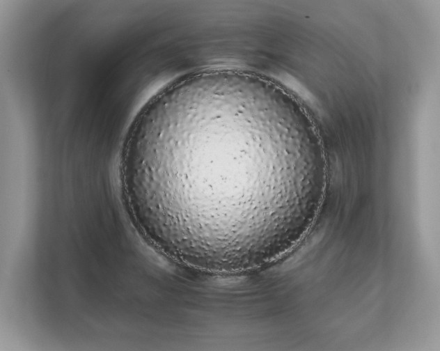 X0000111881325200907301129