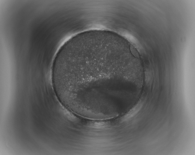 X0000111881326200907301129