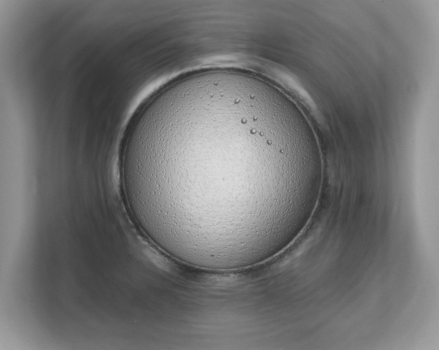 X0000111881328200907301129