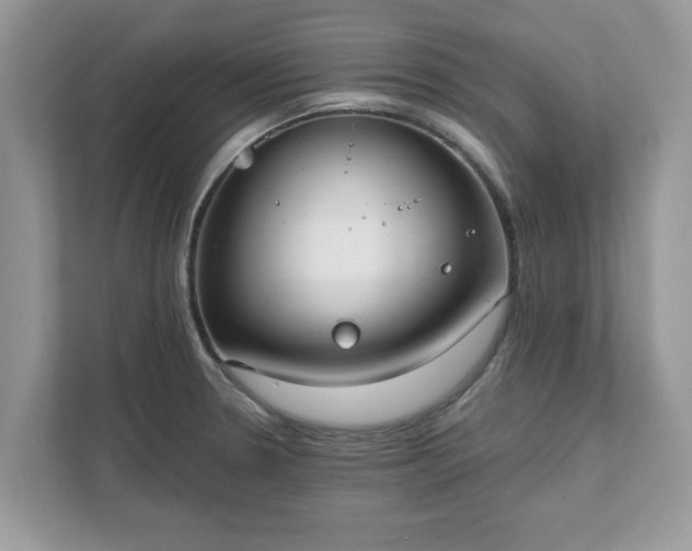 X0000111881330200907301129
