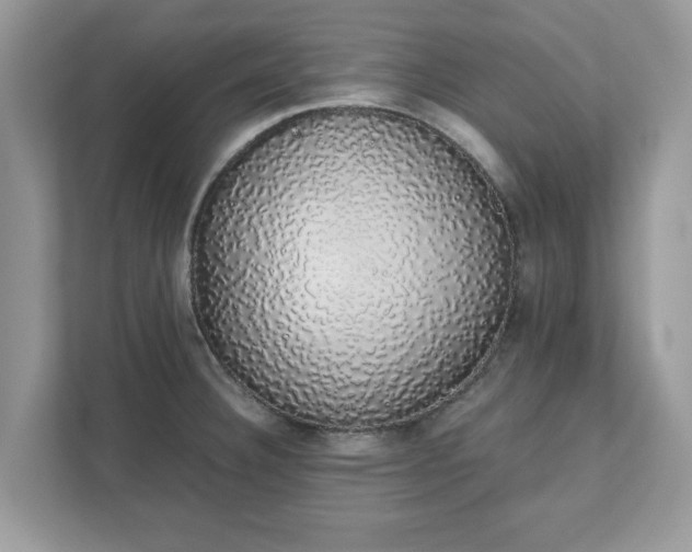 X0000111881332200907301129