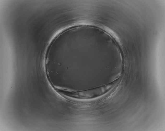 X0000111881334200907301129