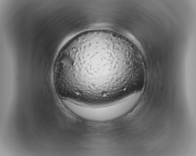 X0000111881336200907301129