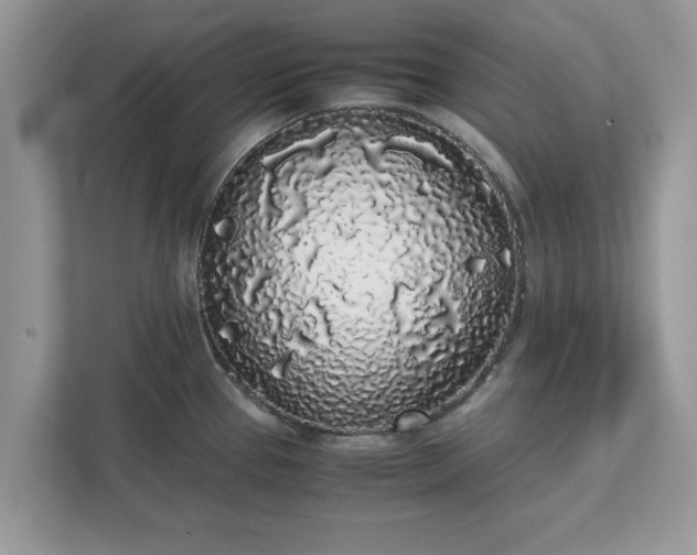 X0000111881337200907301129
