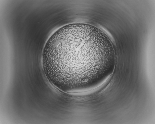 X0000111881340200907301129