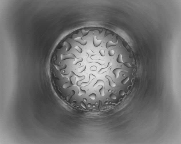 X0000111881342200907301129