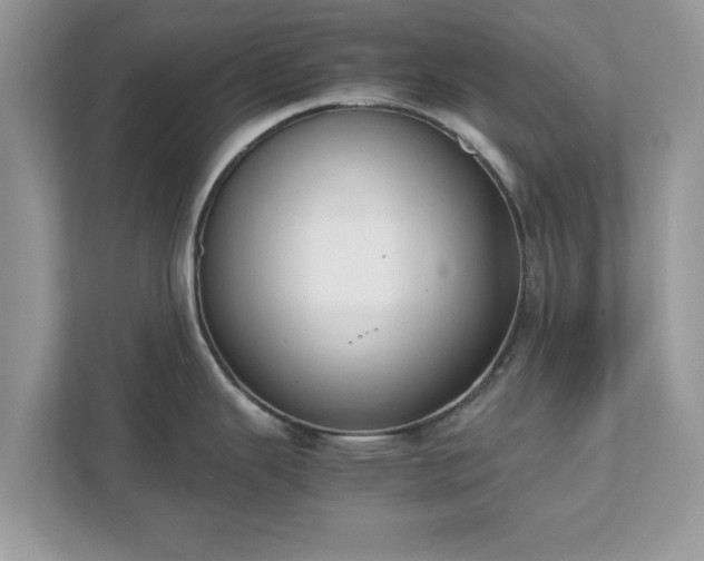 X0000111881343200907301129