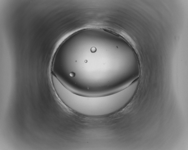 X0000111881344200907301129