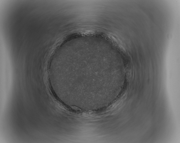 X0000111881345200907301129