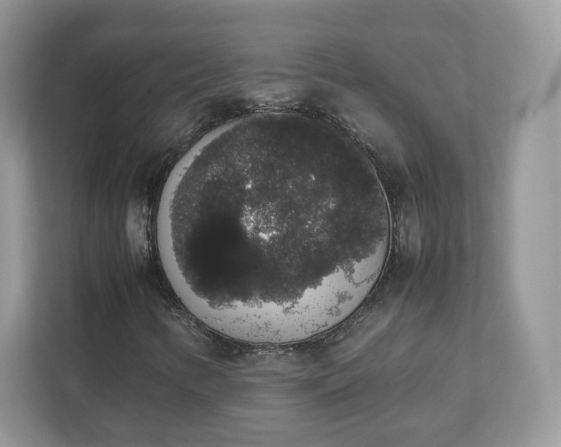 X0000111881346200907301129