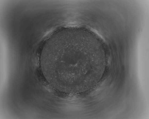 X0000111881350200907301129