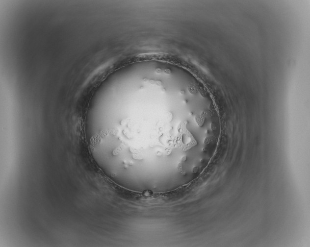 X0000111881351200907301128