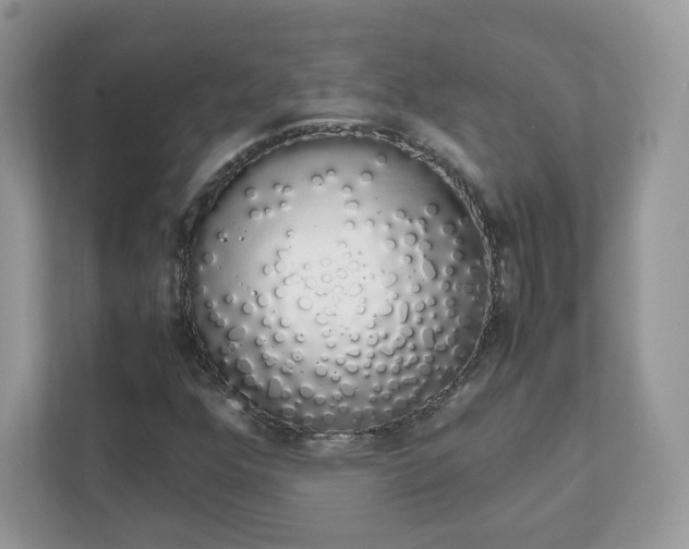 X0000111881352200907301128