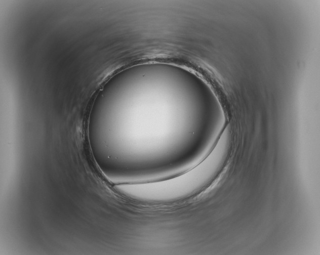 X0000111881353200907301128
