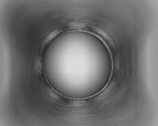X0000111881354200907301128