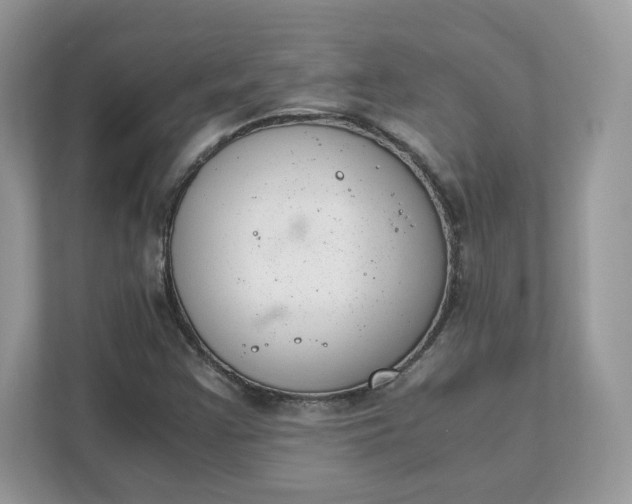 X0000111881355200907301128
