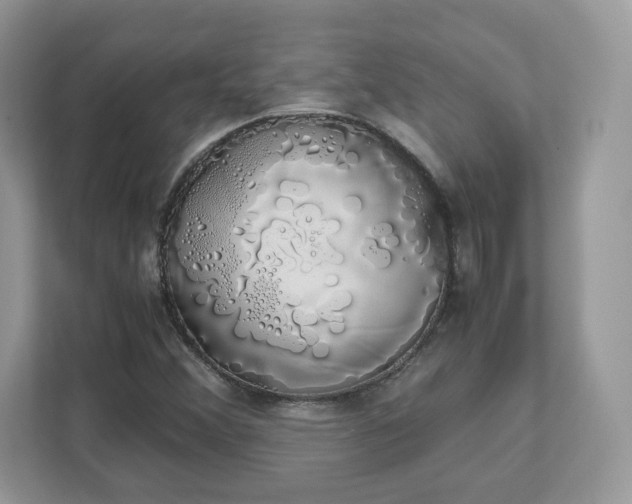 X0000111881356200907301128